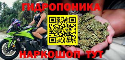 гидра Славянск-на-Кубани