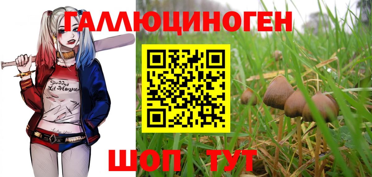 Псилоцибиновые грибы GOLDEN TEACHER Омск