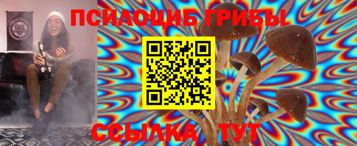 Омск  Галлюциногенные грибы Psilocybe  Псилоцибиновые грибы Magic Shrooms  Вход с VPN 